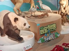 -陕西自然博物馆