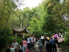 景点-峙山公园