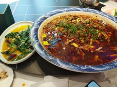 -新概念来凤鱼(璧山店)