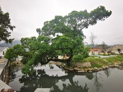 -大罗山风景区