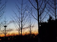 -北京西山国家森林公园