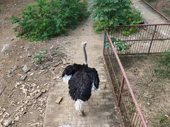 -柳州市动物园