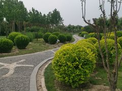 -东疆建设开发纪念公园