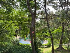 -燕儿岛山公园