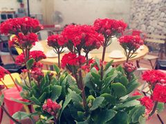iphone_upload_pic-乌镇那一年小院主题餐厅(甘泉西路店)
