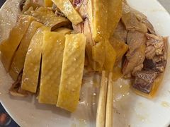 三黄白切鸡-振鼎鸡(华阴路店)