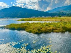 -腾冲北海湿地
