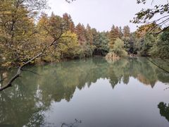 -东湖落雁景区