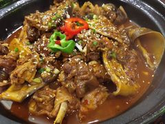 -火焰金龟甲(汉阳江滩旗舰店)