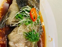 -深圳福青龙华天假日酒店