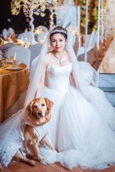 -伊莎贝拉婚礼庄园(顾村店)