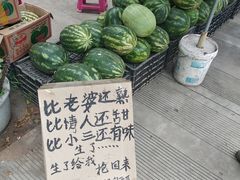 -瑞丽独树成林风景区