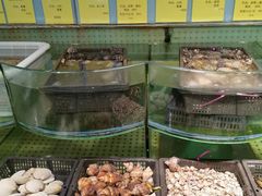 -石湖大酒店(桐泾店)