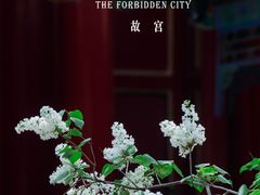 -故宫博物院(故宫)