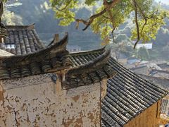 -杨家堂村