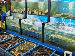 水产区-老东镇啤酒屋海鲜加工·蒸汽海鲜·海鲜烧烤(台东店)