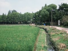 -乌村