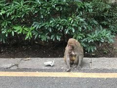 -黔灵山公园