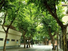 -璐坊粽王(复兴中路店)