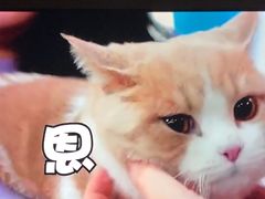-乐琪宠物(青塔西路店)