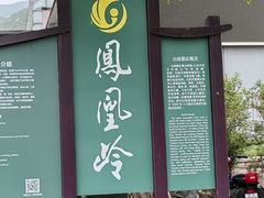-北京凤凰岭