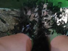 -宝丽金大酒店·洗浴中心