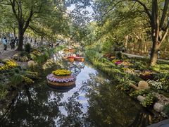 -上海共青森林公园