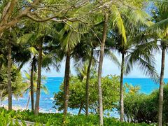 -三亚南山文化旅游区