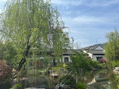 -春色如许·茶食餐厅(桃李春风店)