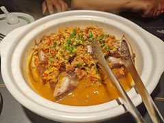-三强鸽子(中原路店)