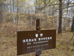 -阿尔山市大兴安岭奥伦布坎景区