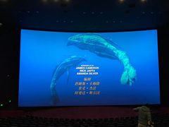 -悦江新远影城IMAX