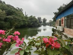 -星湖旅游景区七星岩