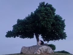-红花山公园