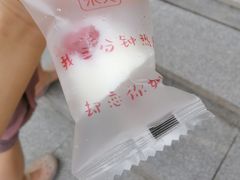 -杭州湾海上花田景区