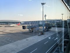 -广州白云国际机场-T1航站楼