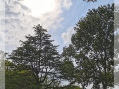-上海怡沁园度假酒店