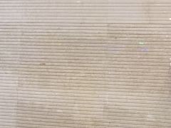 -跃动游泳健身俱乐部(新华传媒店)
