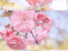 -南京古林公园
