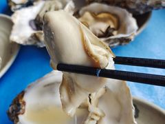 -千岛蚝高压锅生蚝·人参火锅(白云万达店)