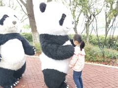 -金鸡湖桃花岛