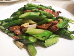-顺德美的万豪酒店-万豪中餐厅