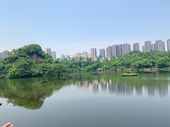 -重庆彩云湖湿地公园