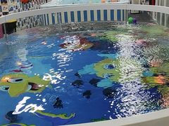 -蓝鲸奇亲子游泳俱乐部