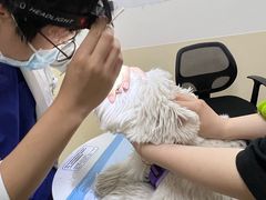 -美联众合动物医院·24h转诊中心