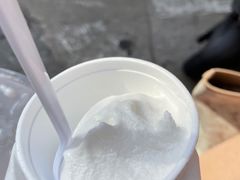 -洪馨椰子