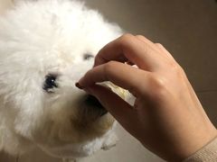 -温州小吃瘦肉丸(清吟街店)