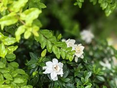 -Beans Solo豆号咖啡(百家湖花园店)