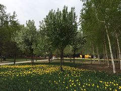 -长春公园(普阳街道)