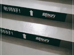 -星光城